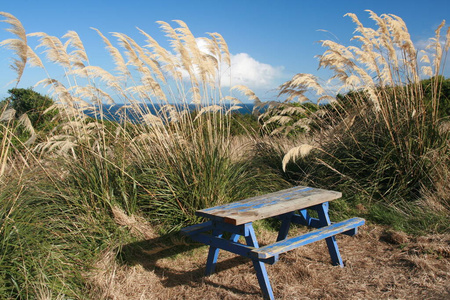 清漆 夏天 长凳 海洋 海滩 假期 自然 旅游业 座位 风景