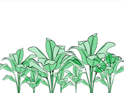 花园 纹理 树叶 要素 草药 自然 素描 植物 植物学 绘画