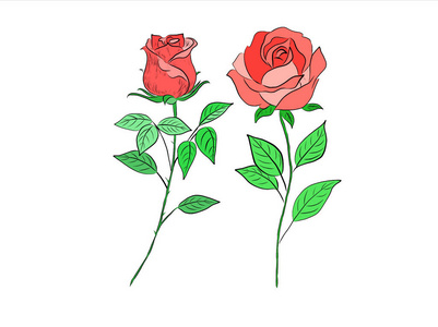 花园 婚礼 植物 自然 开花 玫瑰 浪漫的 素描 美女 情人