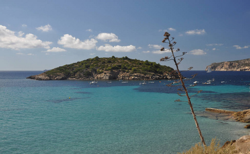 旅行 假期 地中海 旅游业 旅游 假日 小岛 马洛卡 西班牙
