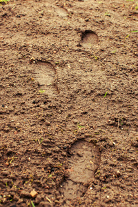 打印 农业 足迹 纹理 地球 徒步旅行 人类 土地 土壤