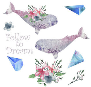 鲸鱼在蓝色图片