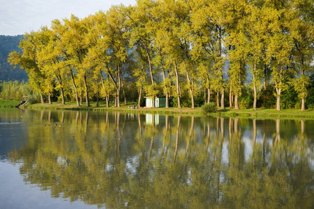 旅行 电缆 风景 夏天 场景 美丽的 公园 钓鱼 森林 自然