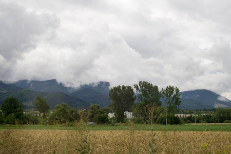 风景 牧场 自然 旅游业 土地 季节 天空 国家 草地 夏天