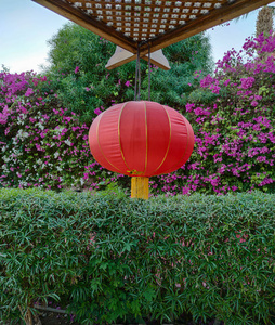 公园 颜色 旅行 天空 木材 北京 唐人街 梯田 猩红 节日