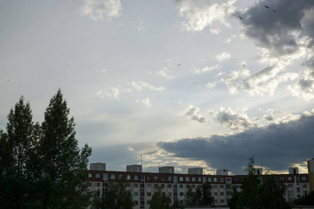 颜色 建筑学 阳光 冬天 射击 风景 城市 季节 太阳 旅行