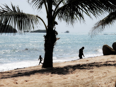 夏天 父亲 放松 自然 求助 男人 泳衣 太阳 海岸 泰国