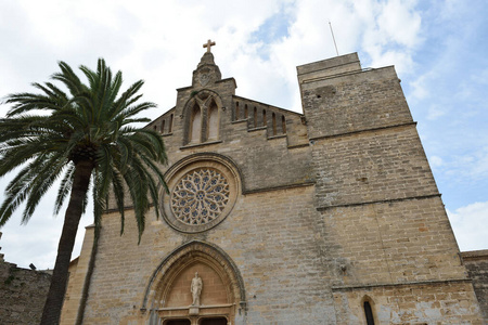 建筑学 马约卡 教堂 西班牙 马洛卡 阿尔库迪亚