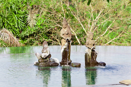 水塘 寺庙 花园 自然 植物区系 浪漫的 环境 放松 宗教