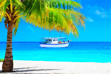 幸福 航海 蓝天 天空 假日 梦想 毛里求斯 巴厘岛 海洋