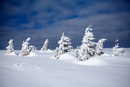 冬天 白霜 圣诞节 小山 霍尔 旅游业 假日 仙境 全景图