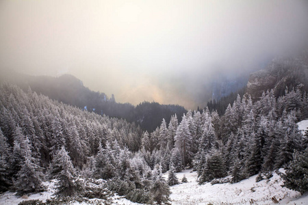 白霜 童话 冬天 假日 小山 冒险 假期 滑雪 寒冷的 自然