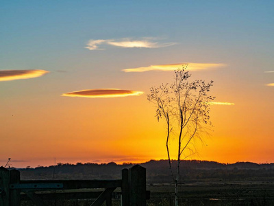 轮廓 日落 傍晚 栅栏 天空 大门 美丽的 发光 英国 约克郡
