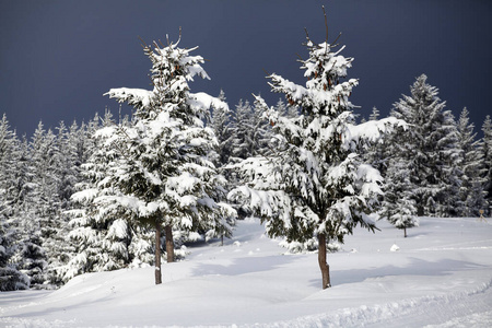 白霜 天空 冒险 小山 假期 旅行 假日 太阳 全景图 阿尔卑斯山