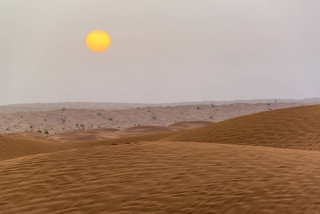 假期 撒哈拉 日出 自然 旅行 热的 太阳 突尼斯 沙漠