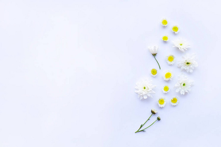 边境 浪漫的 玫瑰 复制 美女 作文 菊花 浪漫 花的 美丽的