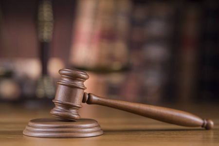 罪犯 诉讼 立法 法官 规则 平等 公正 铁锤 木材 起诉