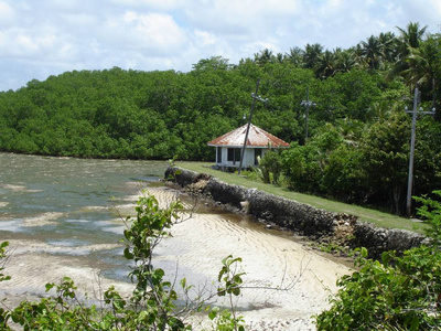 自然 天堂 帕劳 旅游业 风景 放松 海湾 假日 旅行 海岸