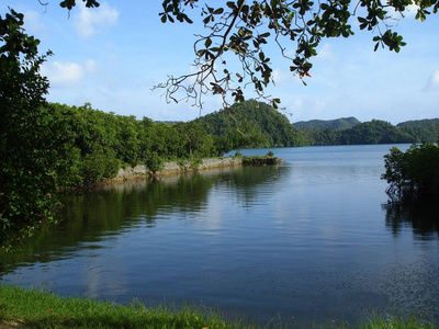 旅游业 岩石 海滩 海岸 放松 海湾 海洋 天堂 棕榈 波动