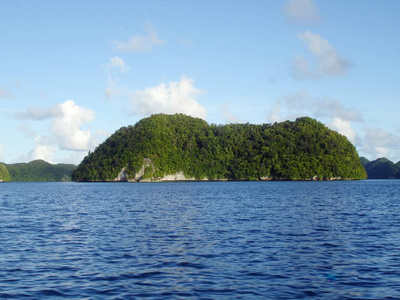 海景 假期 美丽的 目的地 波动 棕榈 自然 太阳 旅游业