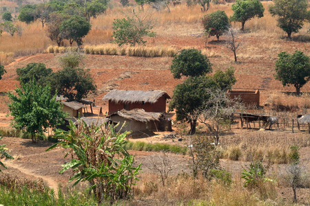 非洲 房子 房屋 小屋 建筑学 贫困 公寓 乡村 住处 自然