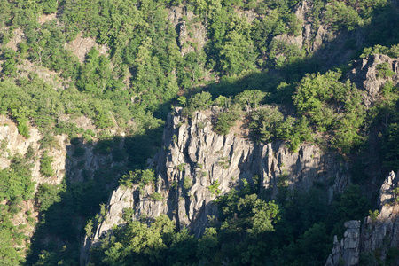 景象 峡谷 全景图 山谷 森林 岩石 远景 夏季 见解 夏天