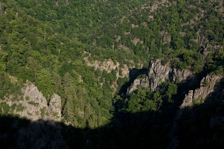 峡谷 景象 见解 树脂 夏天 山谷 全景图 远景 森林 夏季