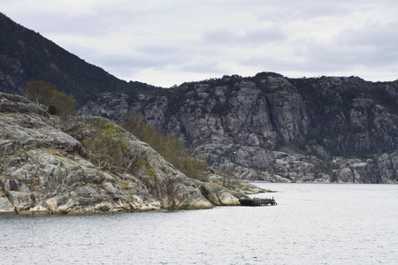 风景 针叶树 田园风格 自然 海岸线 外部 在里面 岩石