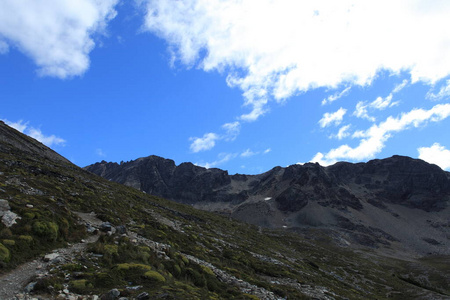 迁移 徒步旅行 乡村 漫无目的 风景 自然 安第斯山脉