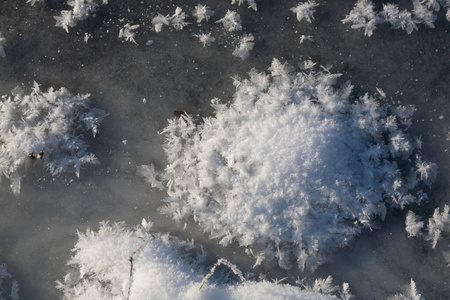风景 寒冷的 冬天 羽毛 纹理 季节 冷冰冰的 特写镜头