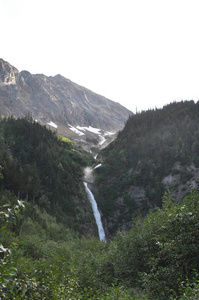 公园 国家的 森林 自然 瀑布 旅行 旅游业 夏天 山谷