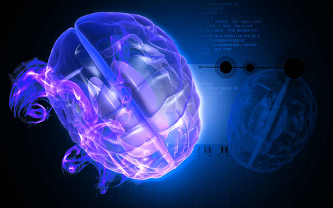 想象 技术 小脑 器官 大脑 提供 颜色 医院 纹理 照顾