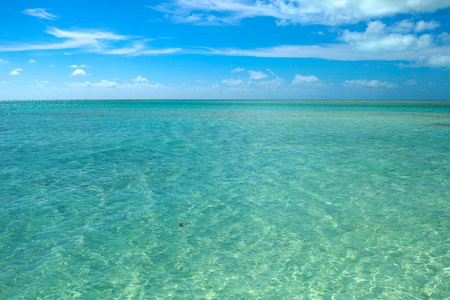 美丽的 假期 美女 放松 太阳 精彩的 天堂 旅行 海洋