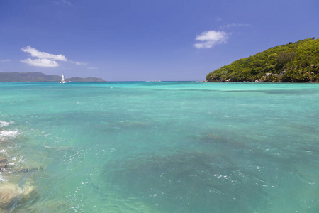 岩石 夏天 天堂 港口 海岸 海滨 海洋 洛杉矶 小岛 夏季