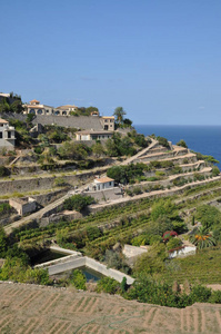旅行 小岛 马洛卡 农业 旅游 海岸 建筑 社区 地中海