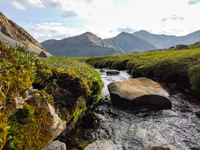 高峰 登山 高的 旅行 丘陵 卡纳纳斯基斯 美丽的 马戏团