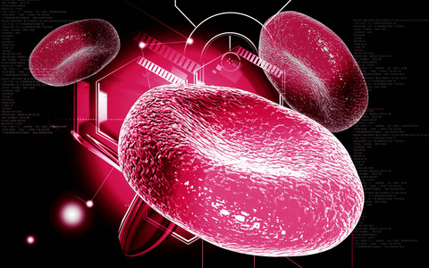 红细胞 绘图 科学 白细胞 三维 器官 技术 医院 静脉