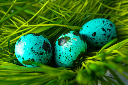 绿色草地上的蓝色复活节彩蛋。装饰概念的鸡蛋狩猎。
