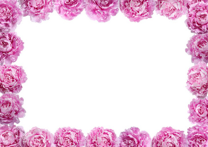 粉红色牡丹花架。空白设计。