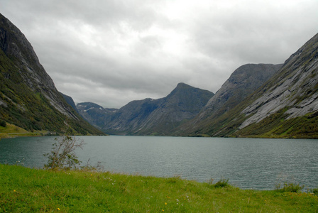 草地 自然 天空 苍穹 乡村 弗斯 挪威 水域 植物 落下