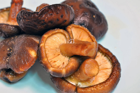 烹调 植物 收获 季节 烹饪 饮食 美味的 食物 营养 蘑菇