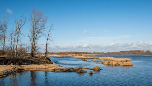 波兰图利沙河附近的桑尼日图片