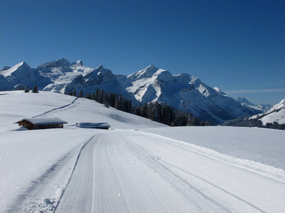 森林 雪橇 小屋 萨纳兰 小枝 瑞士 季节 欧洲 风景 轨道