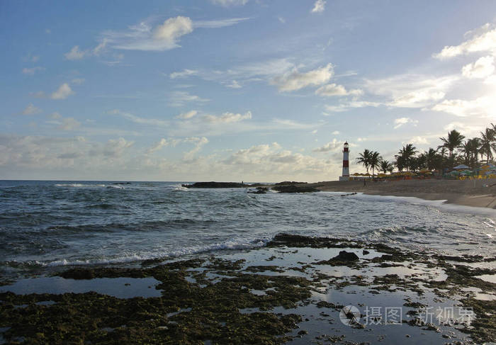 海滩 巴西 海滨 海岸 海洋 灯塔