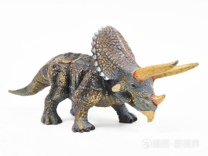 白色隔离的恐龙三角龙橡胶玩具