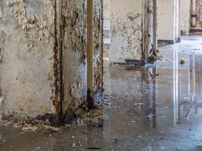 地下室潮湿图片