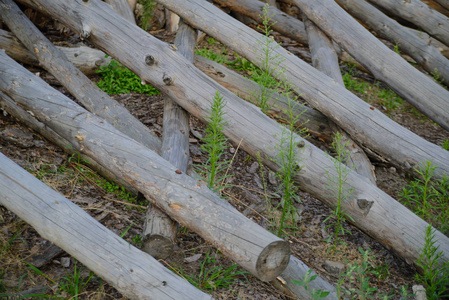 纹理 栅栏 夏天 乡村 大门 长凳 植物 农场 古老的 网格