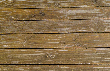 Wood Background Texture background 