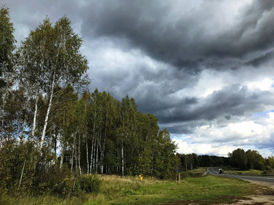 天空 俄罗斯 桦木 领域 风景 森林 夏天 旅行 旅游业