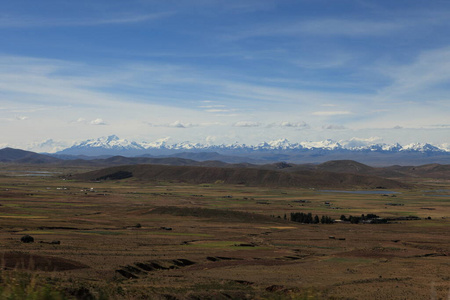 领域 高地 风景 安第斯山脉 玻利维亚 乡村 自然